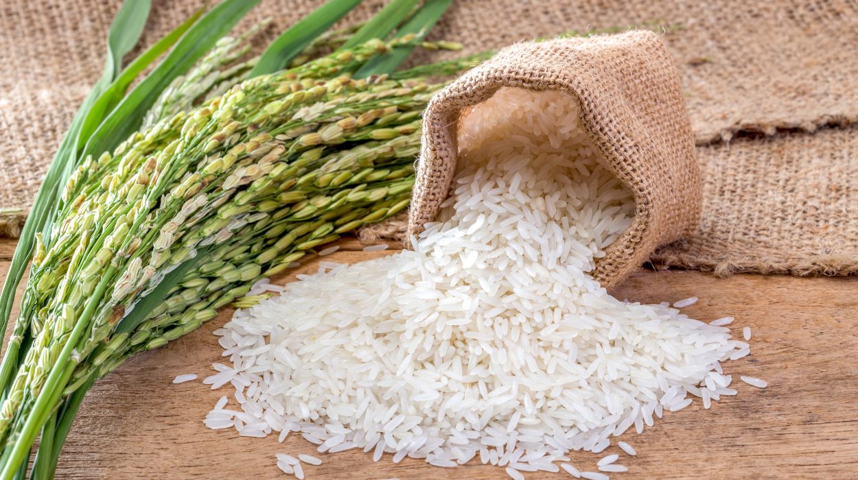 is jasmine rice good for weight loss