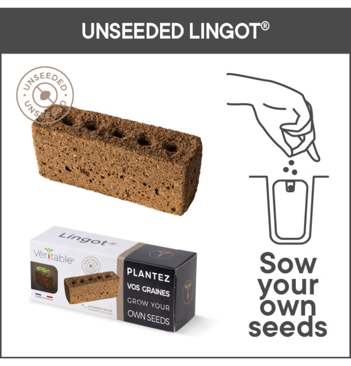 Package of yellow mini-tomatoes Lingot seeds - VERITABLE brand