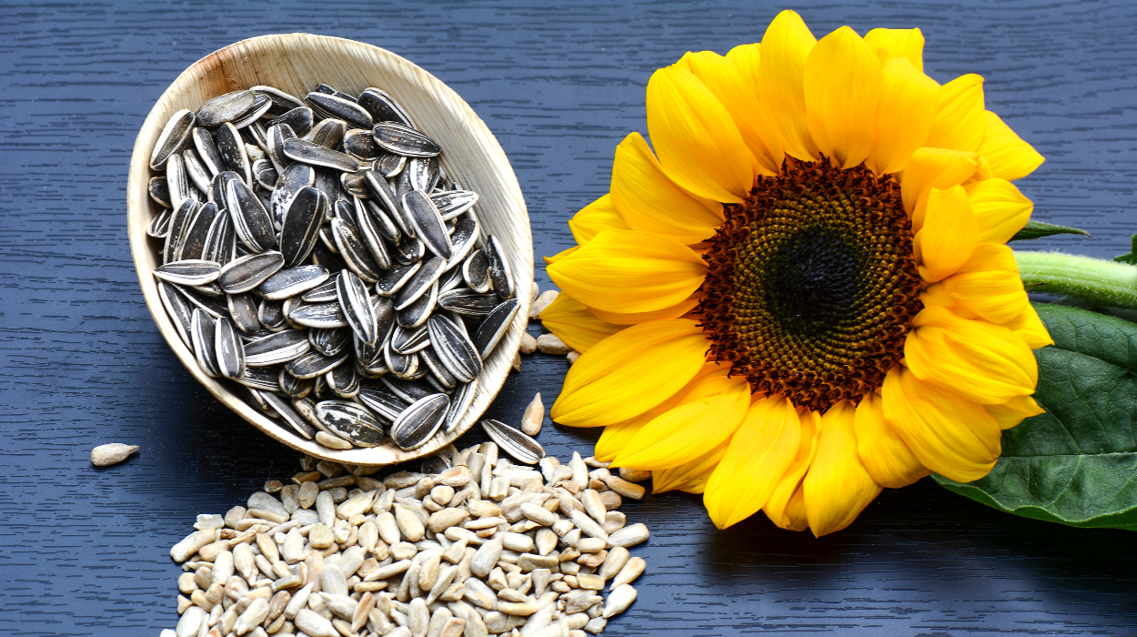 are sunflower seeds good for weight loss